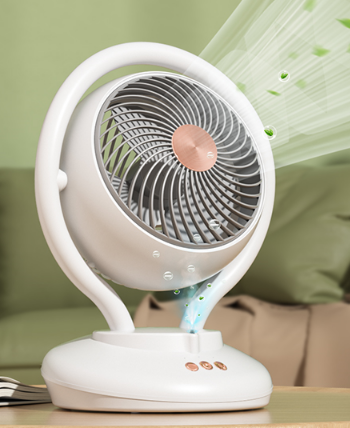 fan